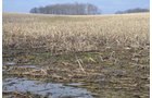 Property photo 13 - 98+/- Acres Offered in 6 Tracts or Combinations, Noble County, Indiana Farm